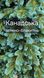 Ялинка Канадська Зелено-блакитна 1.8 м КанаГол-Зе.18.V7 фото 6